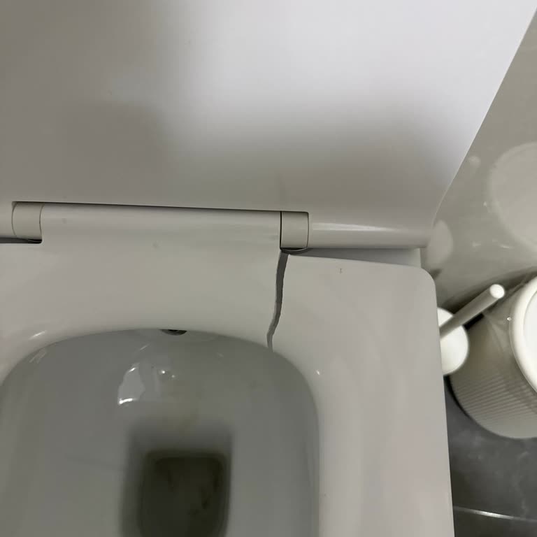 Kısa Sürede Çatlayan Klozet Kapağı İçin Garanti Talebi