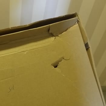 Hasarlı Dyson Süpürge Başlığı Ve Çözüm Yoksunluğu Nedeniyle Kolay Gelsin Şikayetim