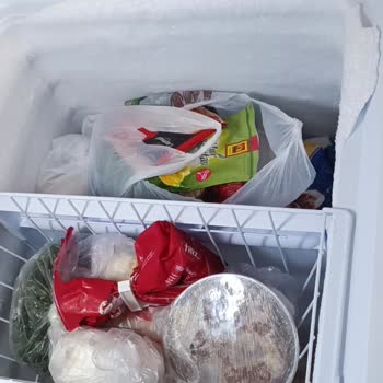 Tekrarlayan Karlanma Sorunu Nedeniyle Derin Dondurucunun Yeniden Değiştirilmesini Talep Ediyorum