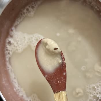 E-Bebek Hammm Yulaf Ununda Ölü Böcek Ve Gıda Güvenliği Sorunu