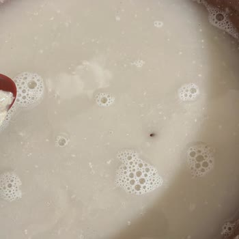 E-Bebek Hammm Yulaf Ununda Ölü Böcek Ve Gıda Güvenliği Sorunu