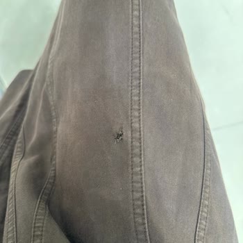 Manuka Mağazasındaki Sert Köşe Kıyafetimi Yırtarak Kullanılamaz Hale Getirdi