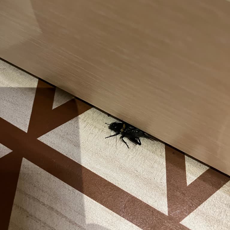 Böcek Sokması Nedeniyle Hastaneye Gidildi, Otelden Yardım Alınamadı
