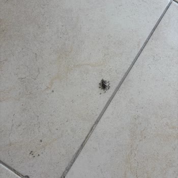 Mersin Liparis Otel'de 67.000 TL Ücret İçin Kirli Oda Ve İade Reddi