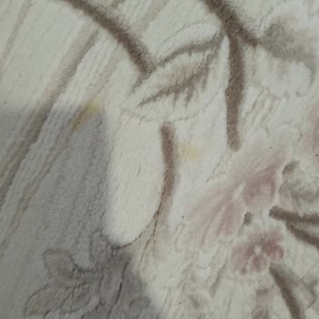 Aytemiz Halı’da Temizlenmemiş Ve Yanık İzli Halı, Hakaretli Mesajlar Ve Engelleme
