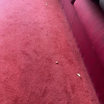 MSC Fantasia Cruise Marred by Multiple Service Problems