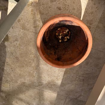 Hijyen Sorunları Nedeniyle Otelde Konaklama Deneyimi Hayal Kırıklığına Dönüştü