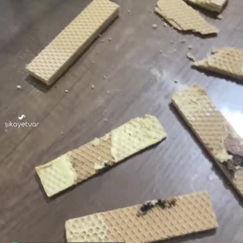 Eti Hoşbeş'te Sigara Külü Çıktı