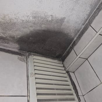 Eureko Sigorta'da Alt Kattaki Banyo Tavanındaki Su Hasarının Onarılmaması