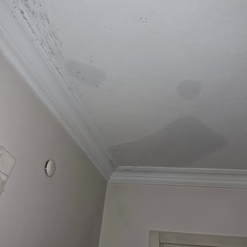 Eureko Sigorta'da Alt Kattaki Banyo Tavanındaki Su Hasarının Onarılmaması