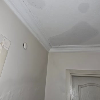 Eureko Sigorta'da Alt Kattaki Banyo Tavanındaki Su Hasarının Onarılmaması
