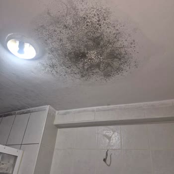 Eureko Sigorta'da Alt Kattaki Banyo Tavanındaki Su Hasarının Onarılmaması