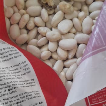 Dermason Fasulyede Çürük Ve Küflü Taneler Sağlık Riski Ve Güven Kaybı