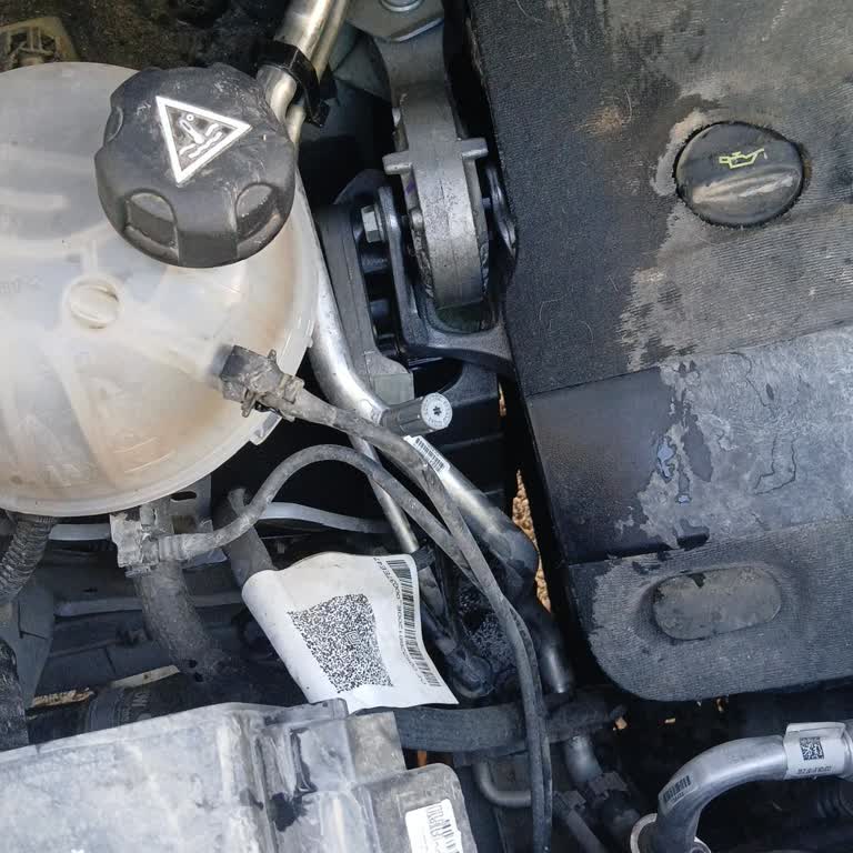 AdBlue Kapağı Açık Bırakılan Serviste Bakım Sonrası Su Kaynaması Ve Güvenlik Endişesi