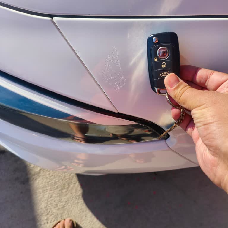 Fiat Egea Sedan'da Düşük Kilometrede Vernik Atması