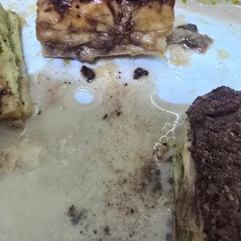 Karagöz Baklavaları Fıstık Sadece Koklatılmış