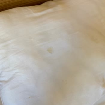 Balonsuz Oda Ve Hijyen Sorunları İçin Aşırı Kesinti