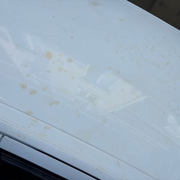 Feribottan Paslı Su Aktı, Araçta Lekeler Ve Gestaş’ın İlgisizliği