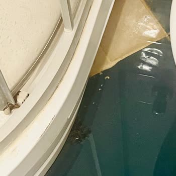 Bitez Garden Life Otelinde Kabus Gibi Temizlik Ve Hijyen İhmalı