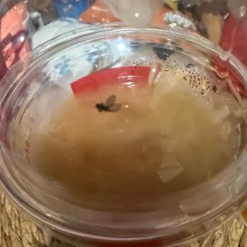 McDonald's Çapa Şubesinde Sütlü Kahvede Sinek