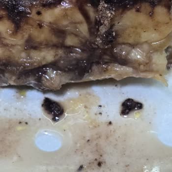 Karagöz Baklava'dan Aldığım Bozulmuş Tatlılar Ve Cevapsız Tavır Nedeniyle 3.100 TL Tam İade Talebi