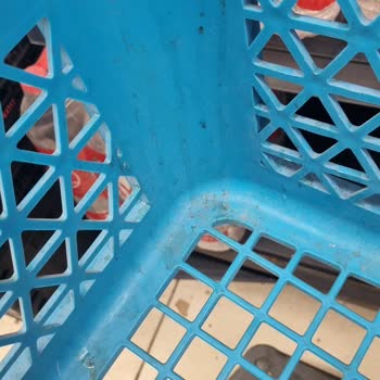 Bandırma Hal Şubesinde Hijyen Çöküşü Ve Kaba Personel