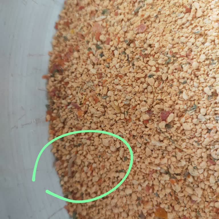 Kurtlu Tarhana Ve Cevapsız Müşteri Desteği