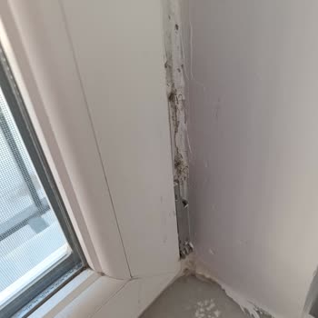 Eser Yapı Pek Çok Ayıpla Ve Eksikle Karşılaştık