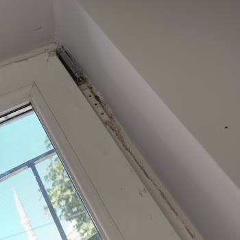 Eser Yapı Pek Çok Ayıpla Ve Eksikle Karşılaştık