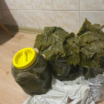 Manisadan_lezzetler Reklamla Uyuşmayan Kalitesiz Salamura Asma Yaprağı İadesi