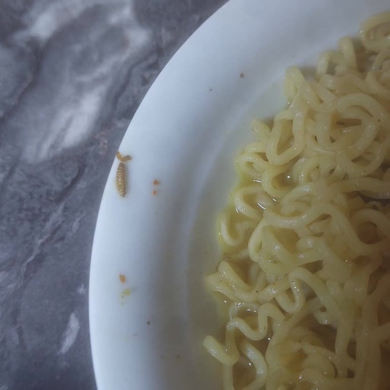 Hazır Noodle'da Kurt Bulunması Tüketiciyi Endişelendiriyor