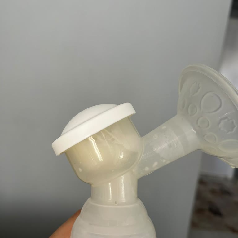 Mamajoo Süt Pompası Arızası, Uzun Servis Süreci Ve Verilmeyen Geçici Pompa