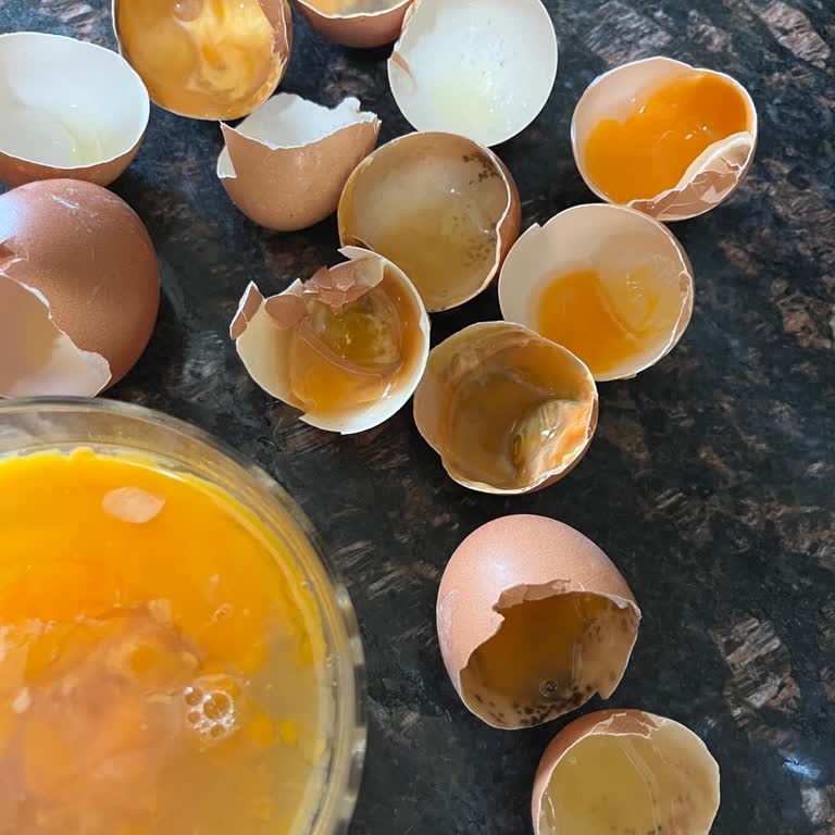 Organik Yumurta İçinde Küf: Sağlık Ve Hijyen Endişesi