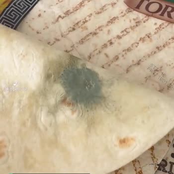 Aly Foods Küflü Tortilla