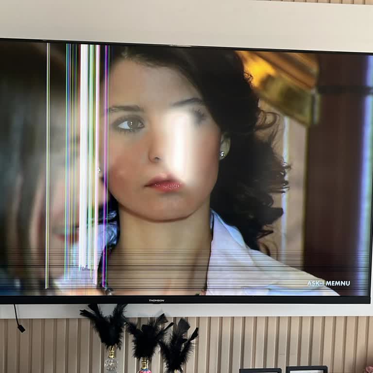 Garanti Ve Sigorta Kapsamında Televizyon Tamiri 22 Gün Gecikiyor