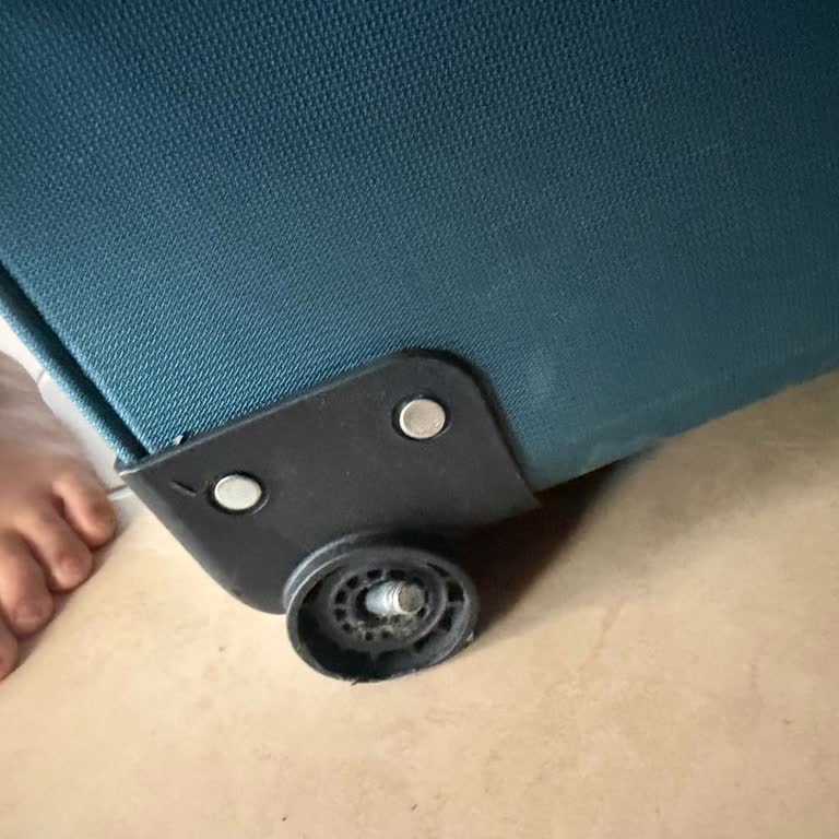 Pegasus’ta Yeni Valiz Hasarı Ve Yardımcı Personel Eksikliği