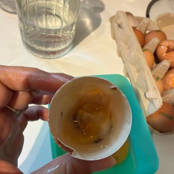 Tire Yumurtalarda Sorun Olması