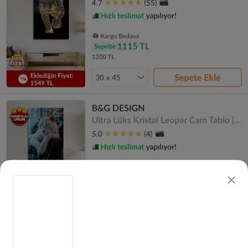 Trendyol Uygulamasındaki Hata Nedeniyle İndirimli Fiyatı Kaçırdım