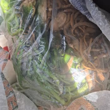 Tokat Seyahat'te Bagaj Gecikmesi Ve Bozulmuş Gıdalar Nedeniyle 6000 TL Zarar Talebi