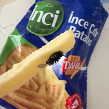 Şok'un İnci Markasının Patates Kızartmasında Kara Sinek Görüldü