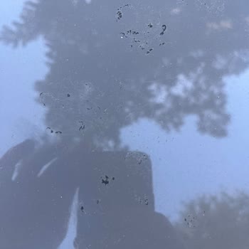 Üretim Kaynaklı Boya Kusuru Ve Değer Kaybı İçin Garanti Talebi