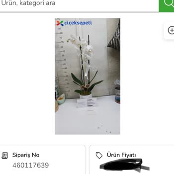 Çiçek Sepeti Orkide Teslimindeki Gecikme Ve Solmuş Çiçek Sorunu