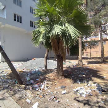 Kızıltepe Belediyesi'nde Çöp Ve Moloz Birikimiyle Çevre Kirliliği Sorunu