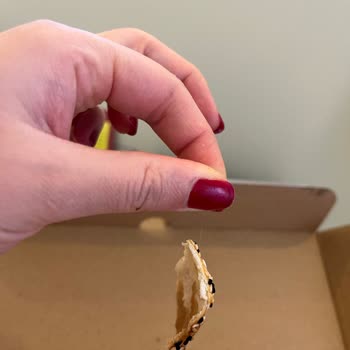 Yemeksepeti Wanted Panzerotti Siparişinde Saç Görülmesi ve Hijyen Sorunu