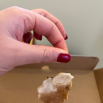 Yemeksepeti Wanted Panzerotti Siparişinde Saç Görülmesi ve Hijyen Sorunu