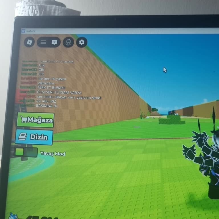 Roblox'ta Kötü Sohbet Ve Hesap İncelemesi Talebi