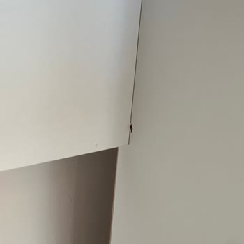 Kurulumda Ahşap Patlamasıyla Hasarlı Mobilya Değişimi Talebi