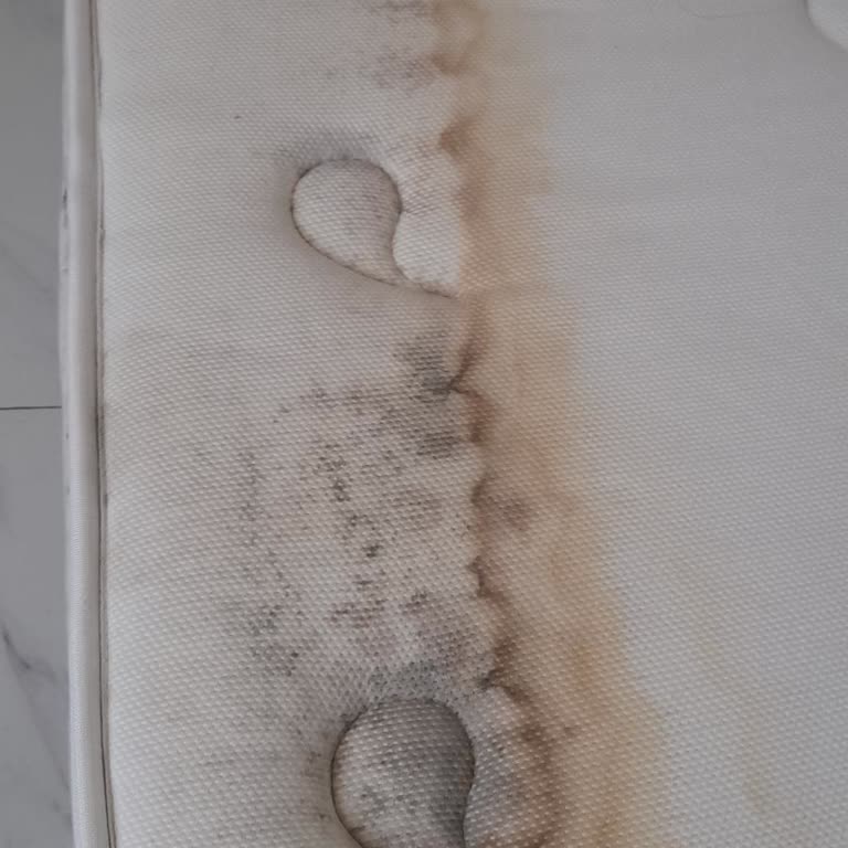 Mio Bianco Resort’ta Hijyen Ve Yemek Kalitesi Sorunu
