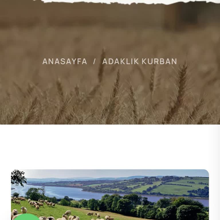 Adakkurbansatisi.com Sorulara Alaycı ve Dalga Geçer Bir Tavırla Yanıtlar Verildi