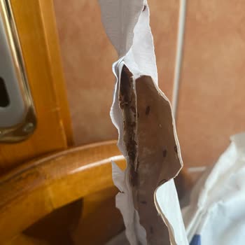 Un Paketi İçindeki Canlı Böcek İstilası Tüketiciyi Hayati Risk Altına Soktu